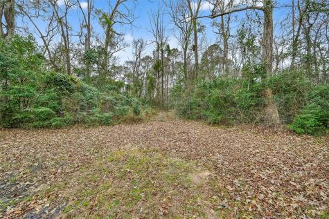 15630 Ben Wiggins Road Conroe TX 77303