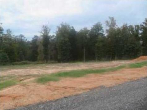 225 Vintage Livingston TX 77351