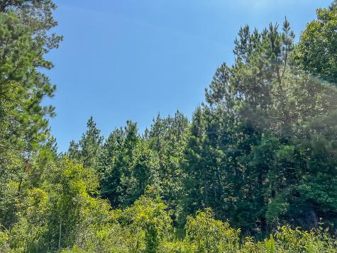 000000 Creek 368a Zavalla TX 75980