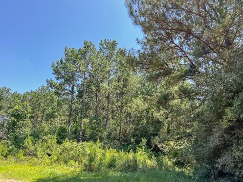 000000 Creek 368a Zavalla TX 75980