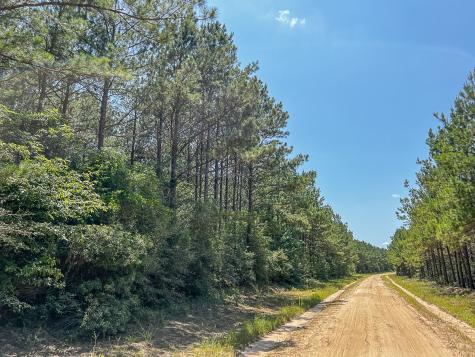 000000 Creek 368a Zavalla TX 75980