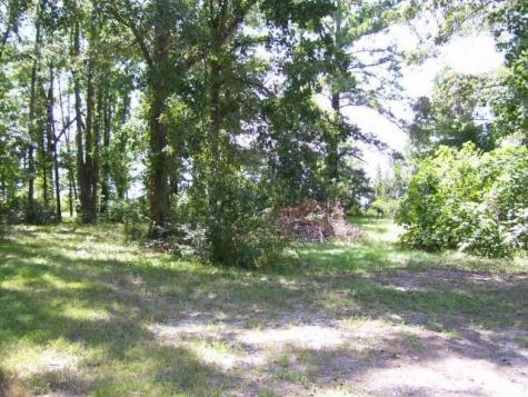 138 Inlet Drive Livingston TX 77351