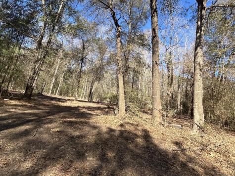 534 One Such Road Livingston TX 77351