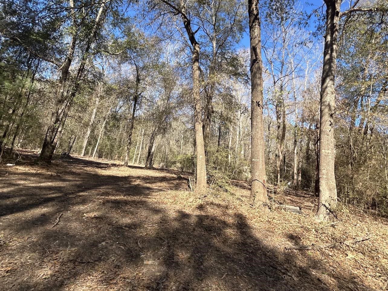 534 One Such Road Livingston TX 77351