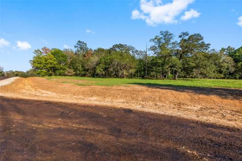 6016 Alans Memorial Lane New Waverly TX 77358