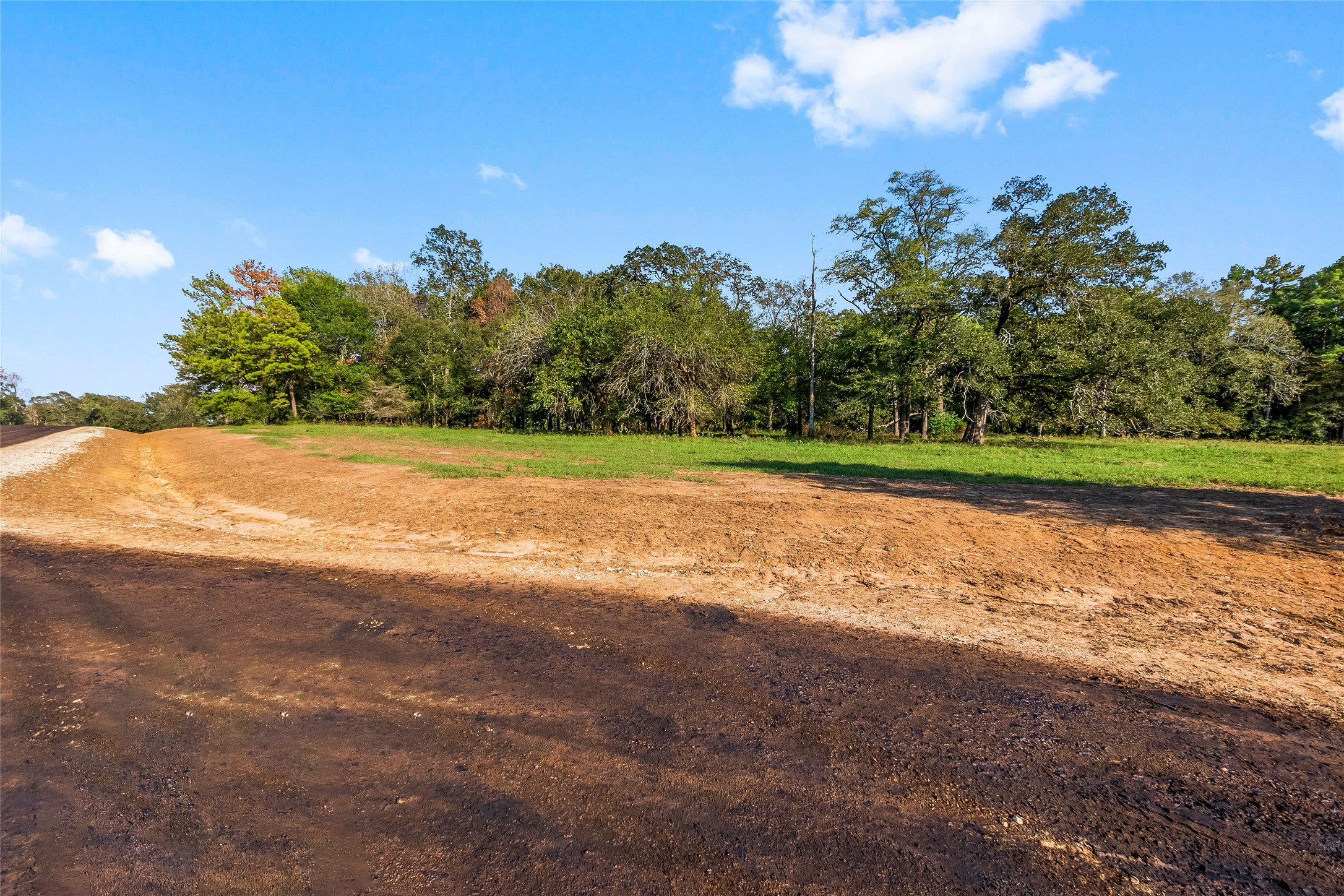 6016 Alans Memorial Lane New Waverly TX 77358
