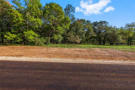 6016 Alans Memorial Lane New Waverly TX 77358