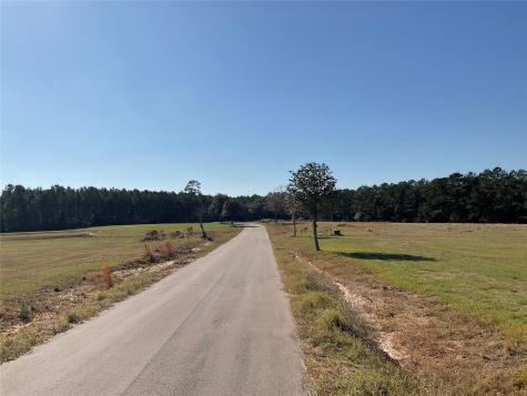 Lot 14 Lakeland Drive Hillister TX 77624