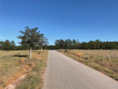 Lot 14 Lakeland Drive Hillister TX 77624