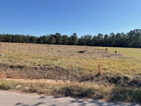 Lot 14 Lakeland Drive Hillister TX 77624