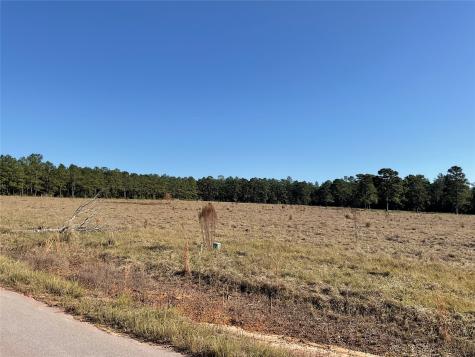 Lot 14 Lakeland Drive Hillister TX 77624
