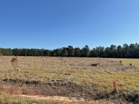 Lot 14 Lakeland Drive Hillister TX 77624