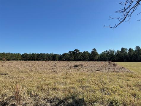 Lot 14 Lakeland Drive Hillister TX 77624