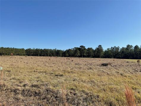 Lot 14 Lakeland Drive Hillister TX 77624