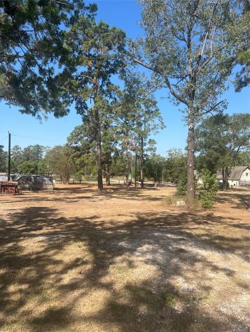 538 Lesa Lane Spring TX 77373