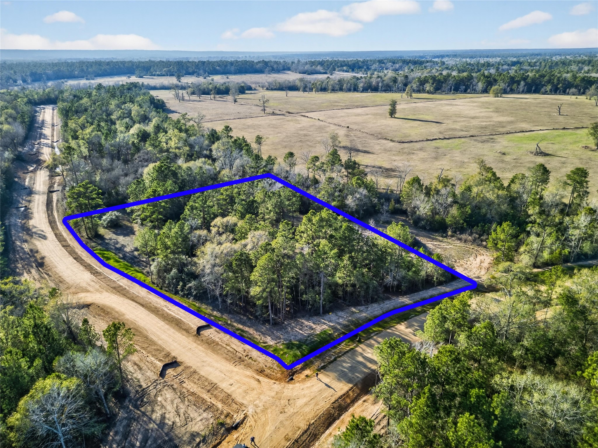 100 Remington Court Coldspring TX 77331