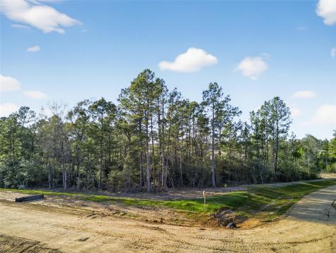 100 Remington Court Coldspring TX 77331