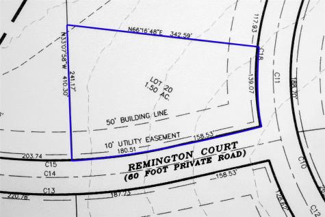 100 Remington Court Coldspring TX 77331