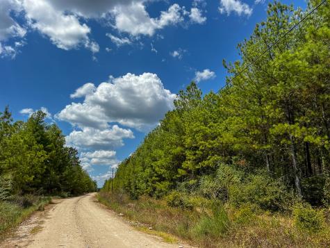 000 Off Lost Indian Camp Road Huntsville TX 77320