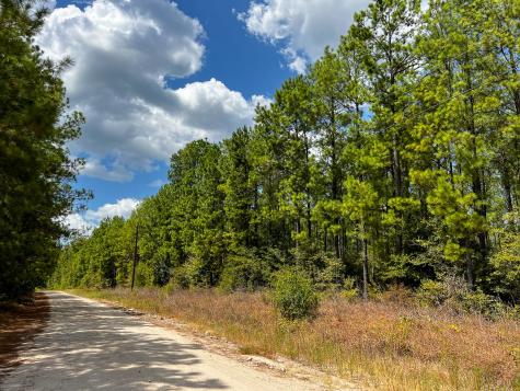 000 Off Lost Indian Camp Road Huntsville TX 77320