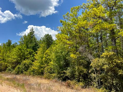 000 Off Lost Indian Camp Road Huntsville TX 77320