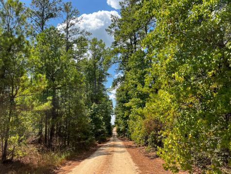 000 Off Lost Indian Camp Road Huntsville TX 77320
