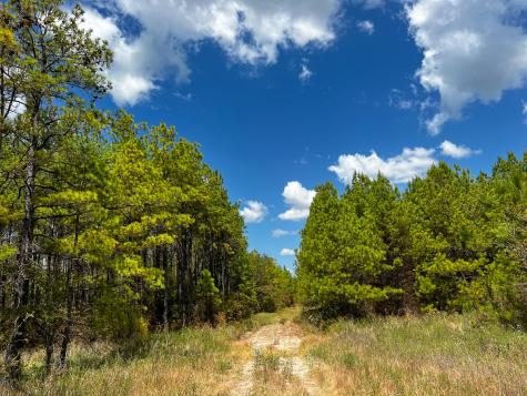 000 Off Lost Indian Camp Road Huntsville TX 77320