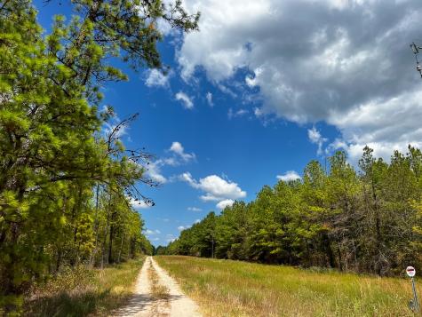 000 Off Lost Indian Camp Road Huntsville TX 77320