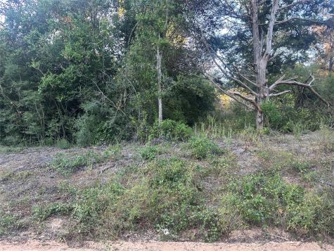 676 Patricia Drive Livingston TX 77351
