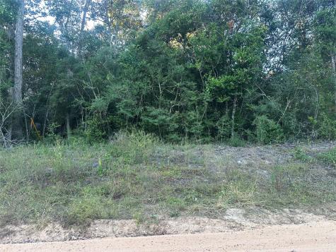 676 Patricia Drive Livingston TX 77351