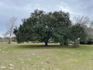 209 Tropical Drive Victoria TX 77904