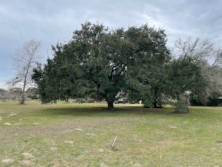 209 Tropical Drive Victoria TX 77904