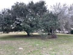 209 Tropical Drive Victoria TX 77904