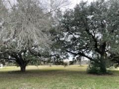 209 Tropical Drive Victoria TX 77904