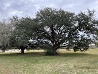 209 Tropical Drive Victoria TX 77904