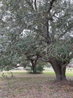 209 Tropical Drive Victoria TX 77904