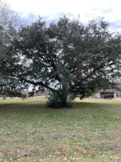 209 Tropical Drive Victoria TX 77904