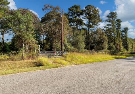 24270 Pinewood Valley Drive Hockley TX 77447