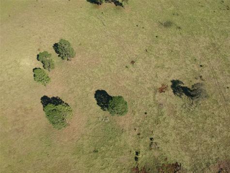 Tbd Lakeland Ranch Lot 252 Hillister TX 77624
