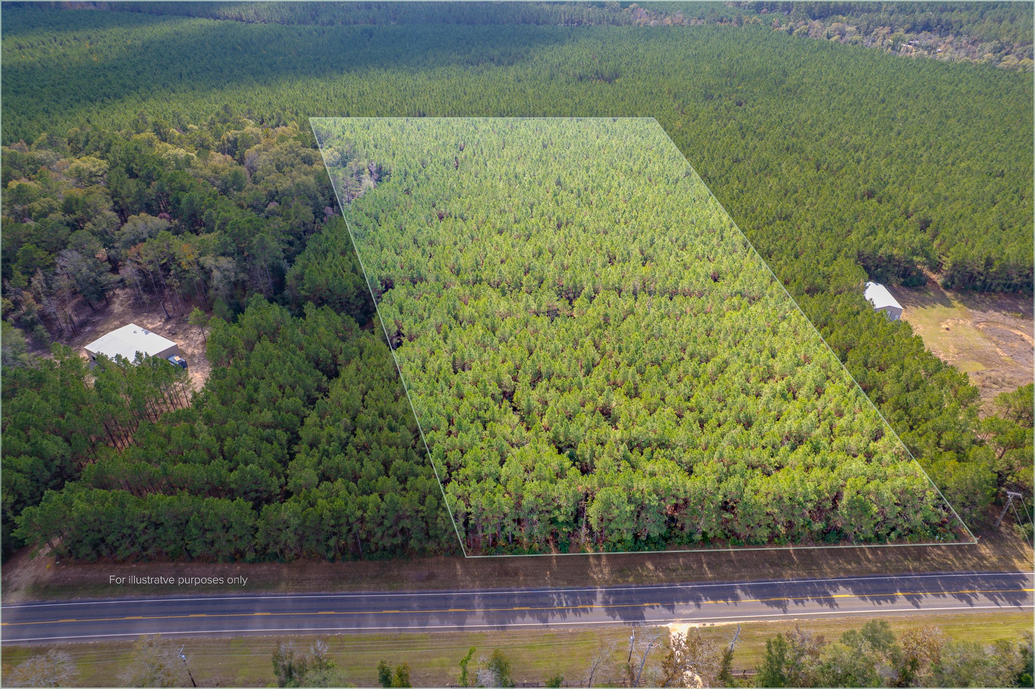 Lot 6 Fm 943 Livingston TX 77351