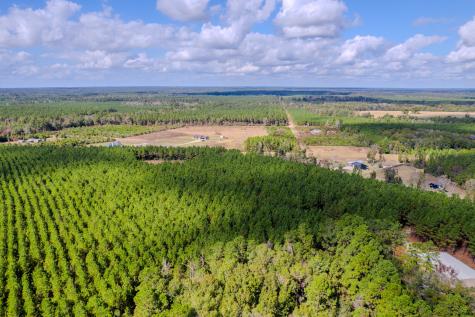 Lot 6 Fm 943 Livingston TX 77351