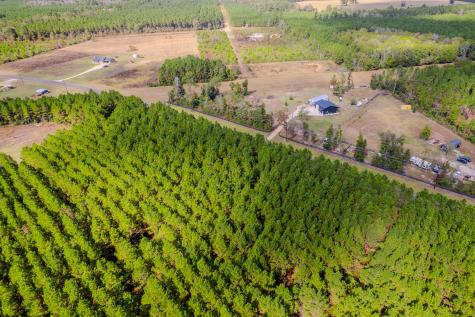 Lot 6 Fm 943 Livingston TX 77351