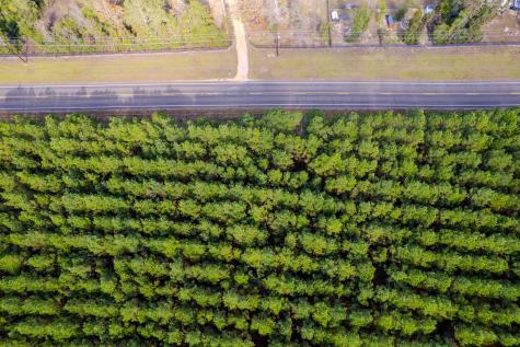 Lot 6 Fm 943 Livingston TX 77351