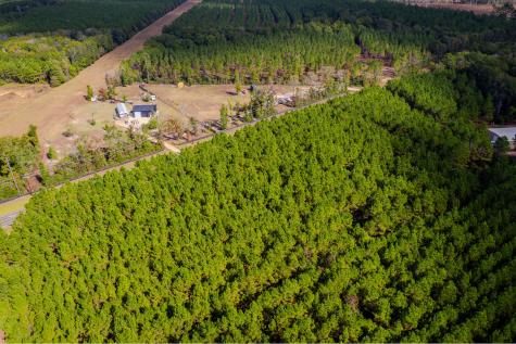 Lot 6 Fm 943 Livingston TX 77351