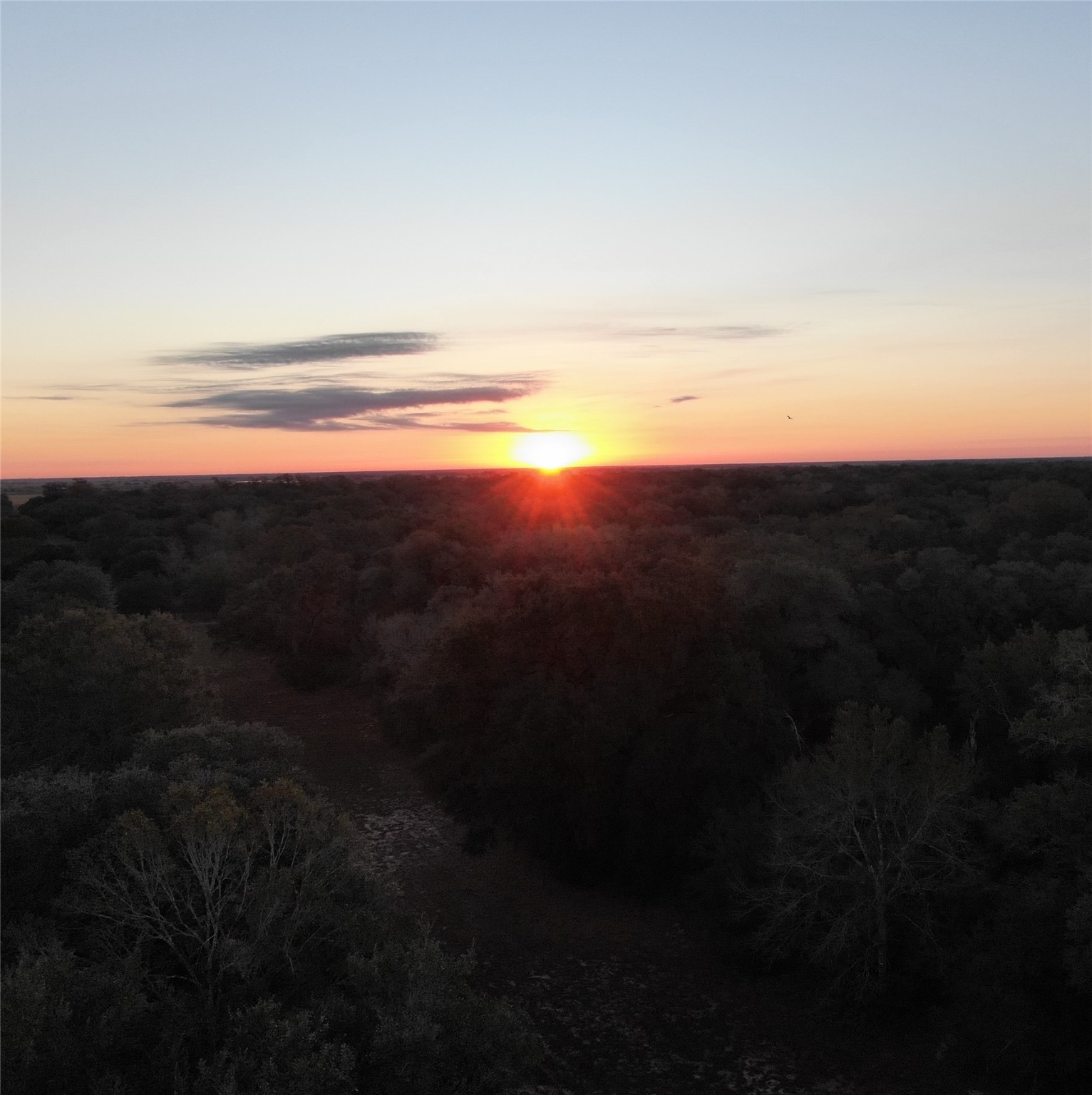 Tbd Sandy Creek Drive Garwood TX 77442
