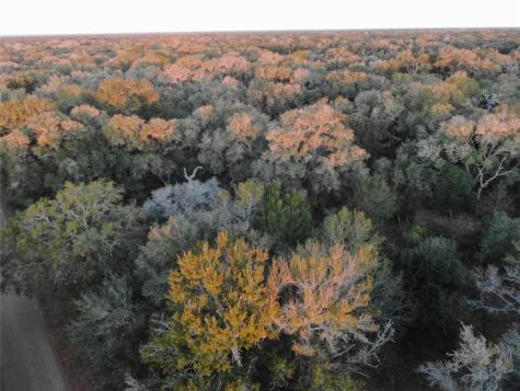 Tbd Sandy Creek Drive Garwood TX 77442
