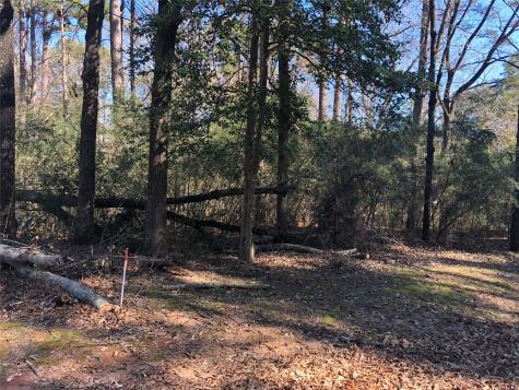 0 Pike Lot 361 Drive Hemphill TX 75948