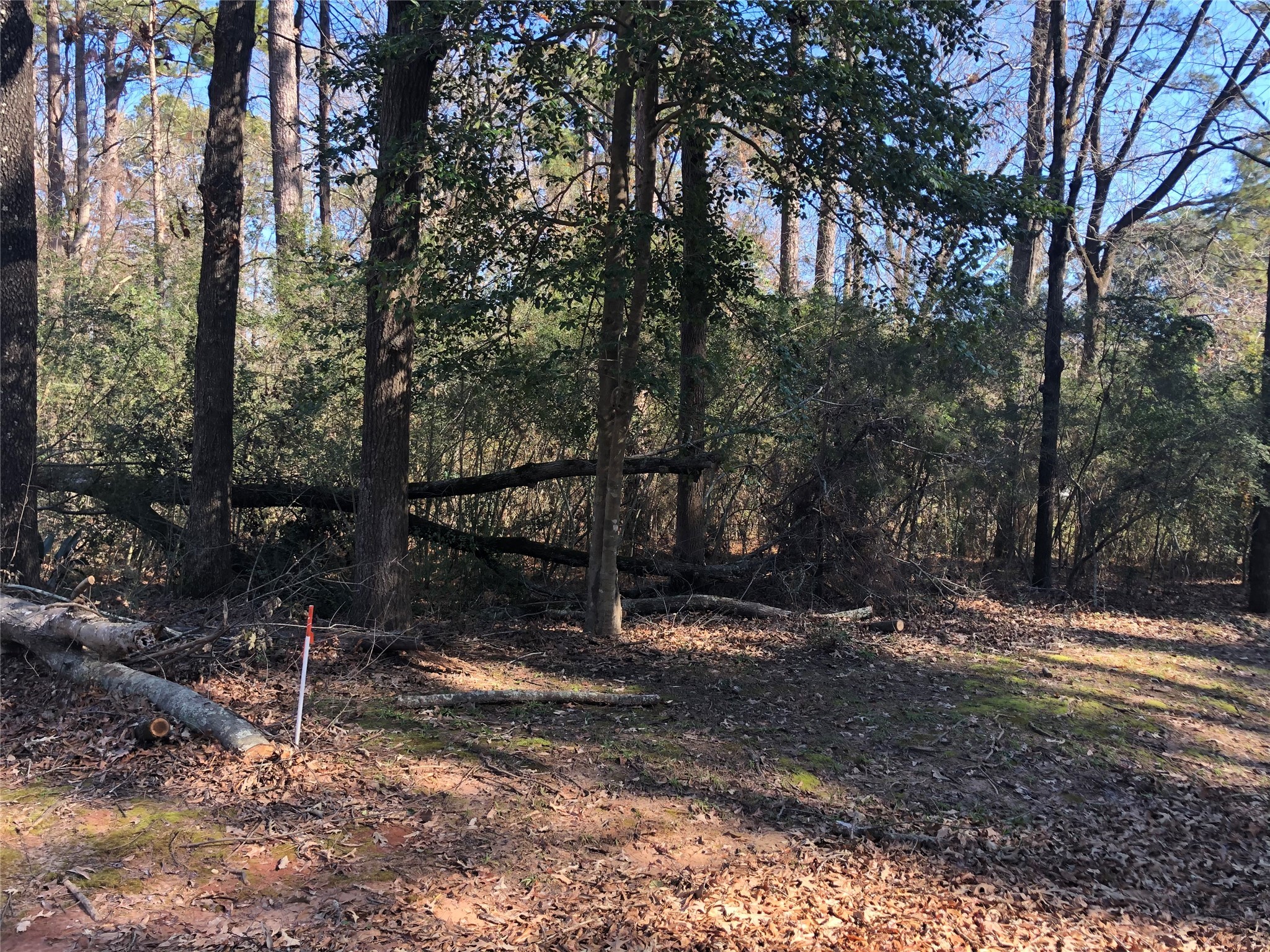 0 Pike Lot 361 Drive Hemphill TX 75948