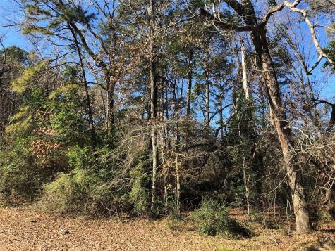 0 Pike Lot 361 Drive Hemphill TX 75948