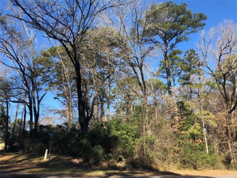 0 Pike Lot 361 Drive Hemphill TX 75948